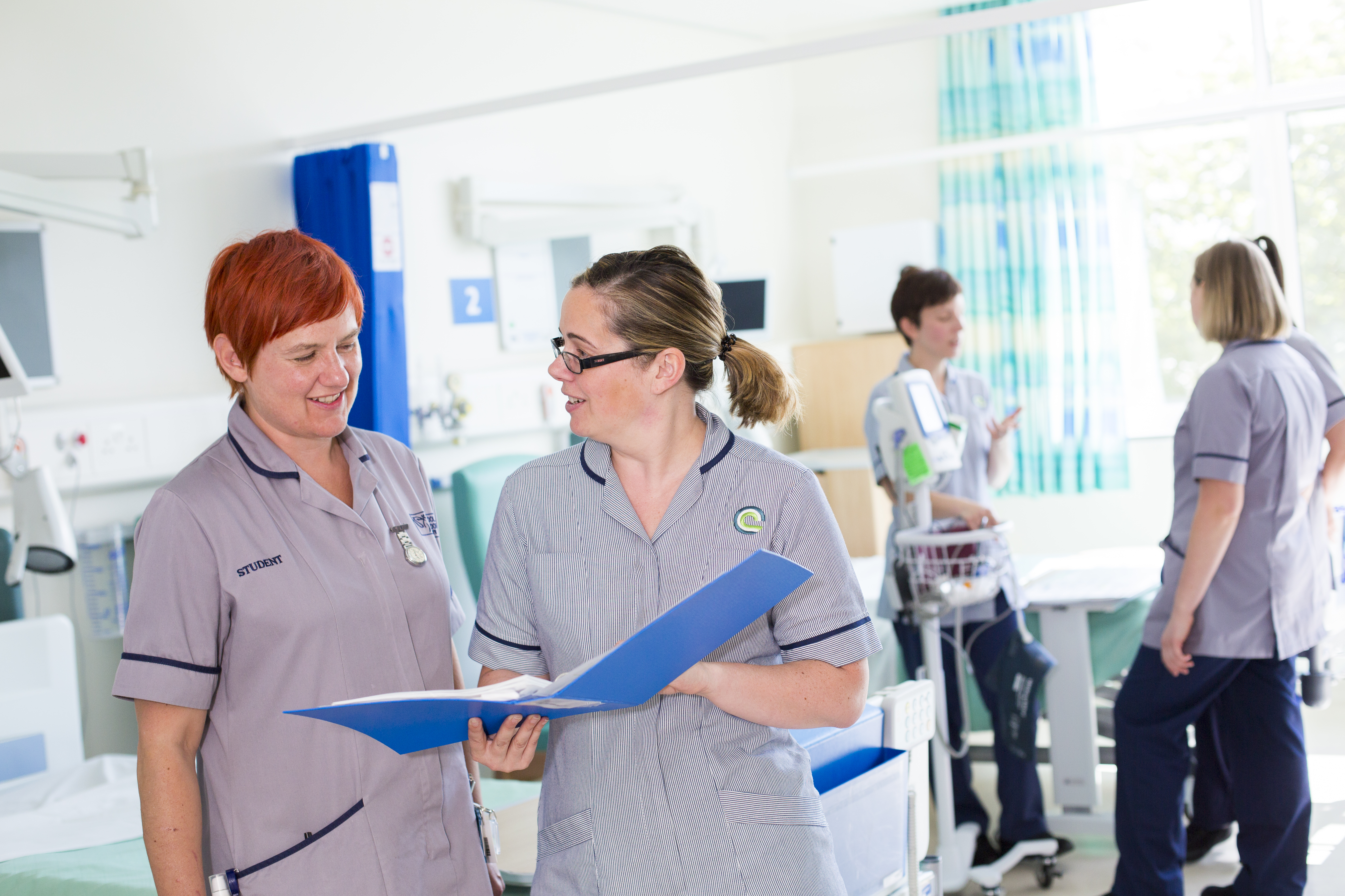 Practice Education Facilitators